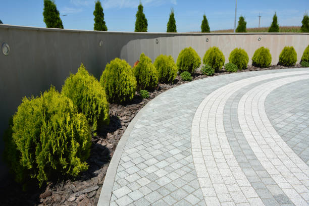 Best Affordable Driveway Paving  in Vado, NM
